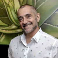 Well Adjusted Chiropractic and Wellness ico