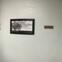 Holland Chiropractic ico