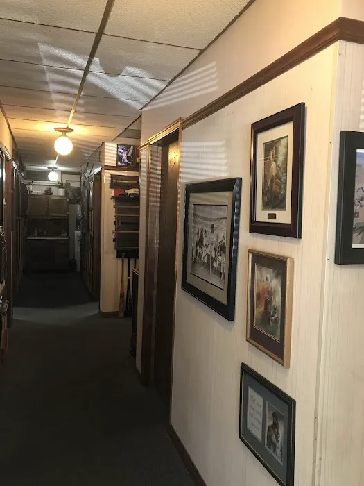 Holland Chiropractic Picture 4