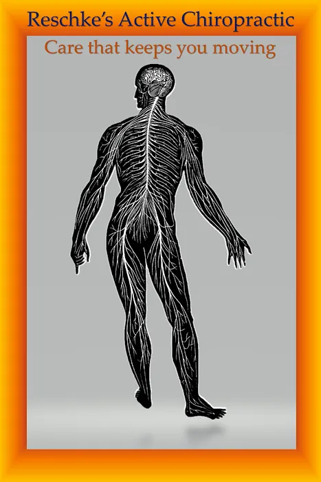 Reschke's Active Chiropractic Picture 9