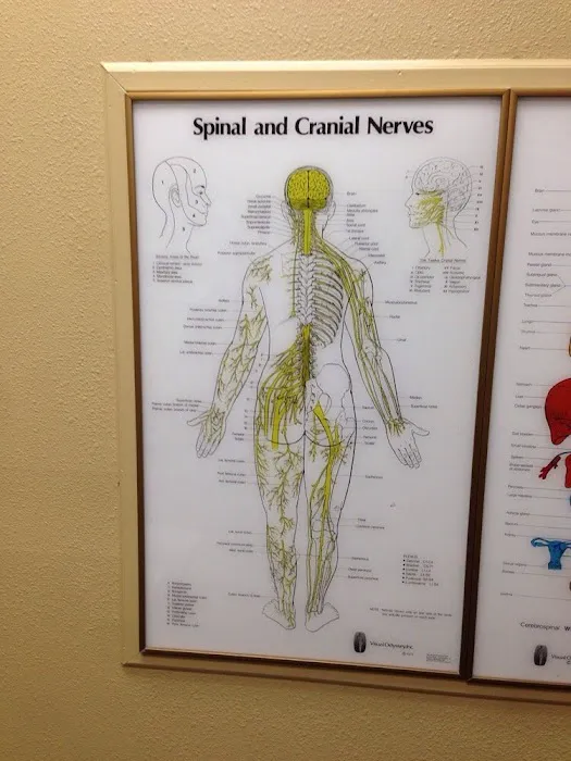 Valentine Chiropractic Picture 6