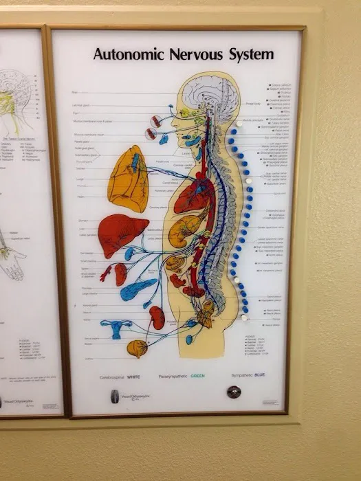 Valentine Chiropractic Picture 7
