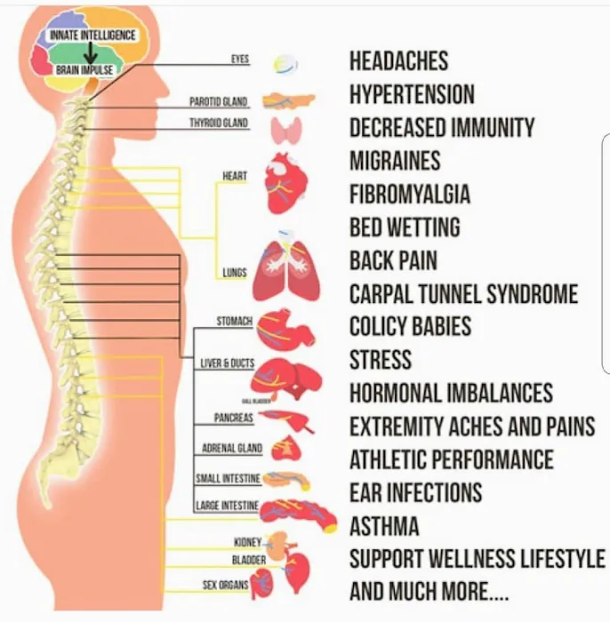 ProActive Chiropractic & Sports Medicine Picture 8