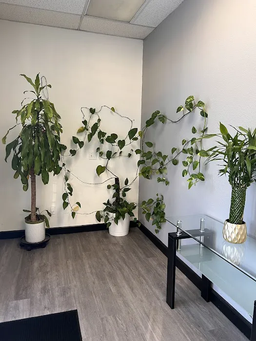 Wellness 26 Picture 1