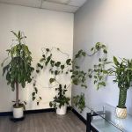 Wellness 26
