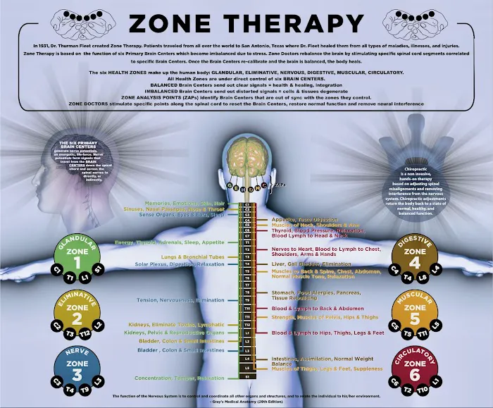 Zalben Zone Chiropractic Picture 9