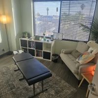 Long Wellness Chiropractic Inc. ico