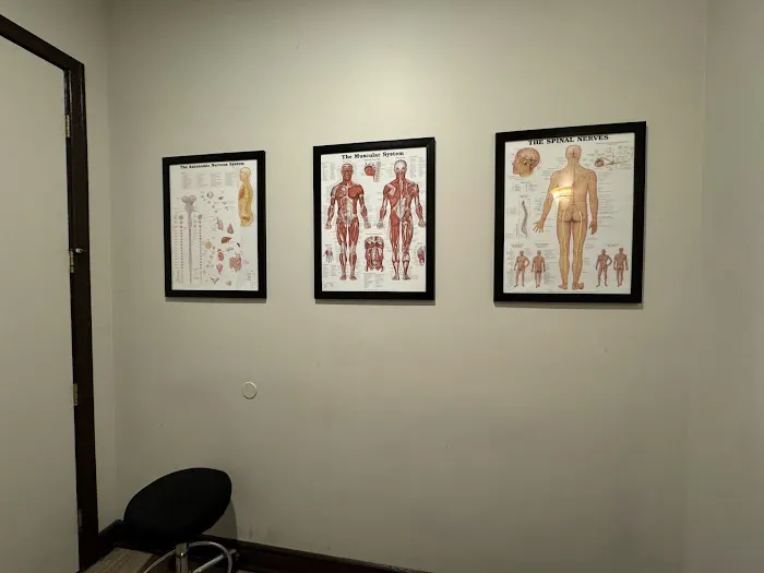 Premiere Chiropractic & Sports Medicine Picture 9