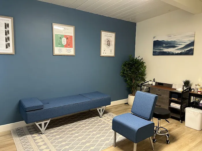 System Chiropractic Picture 3