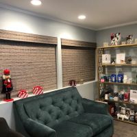 Springer Chiropractic, Inc: Neal Springer, D.C. ico