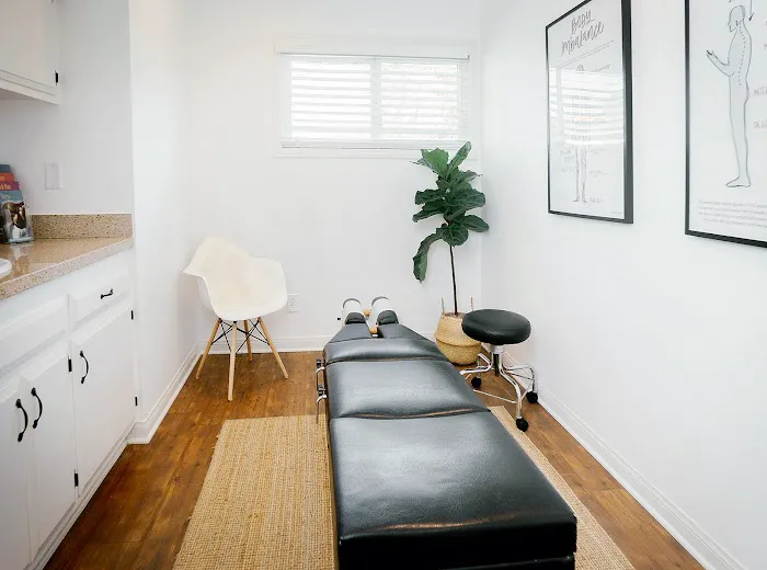 Harbor Family Chiropractic of Costa Mesa - Dr. Stacey Gillis Picture 7
