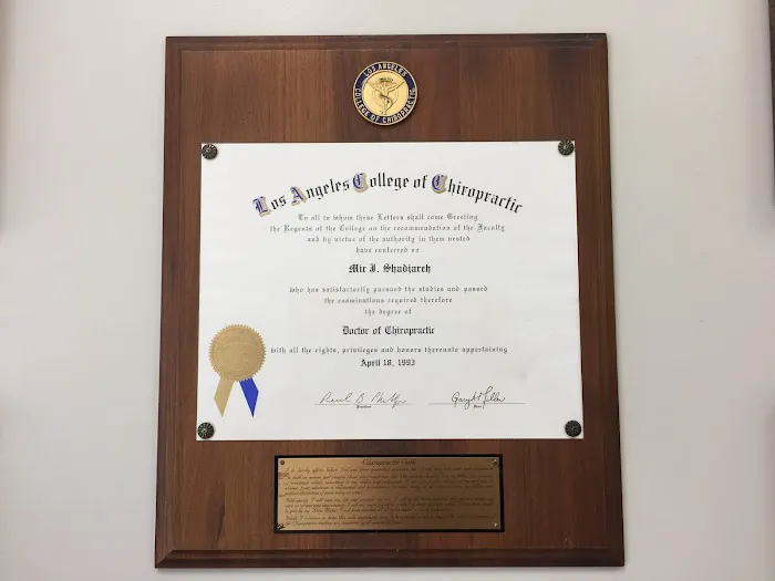 Dr. Shadjareh Picture 6