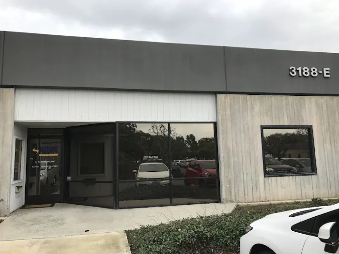 Neuro Muscular Connection Picture 7