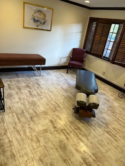 Parlopino Chiropractic Picture 3