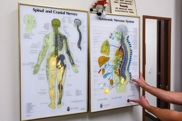 Body Mechanics Chiropractic & Sports Therapy Picture 10