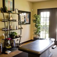 Cohn Health Institute ico