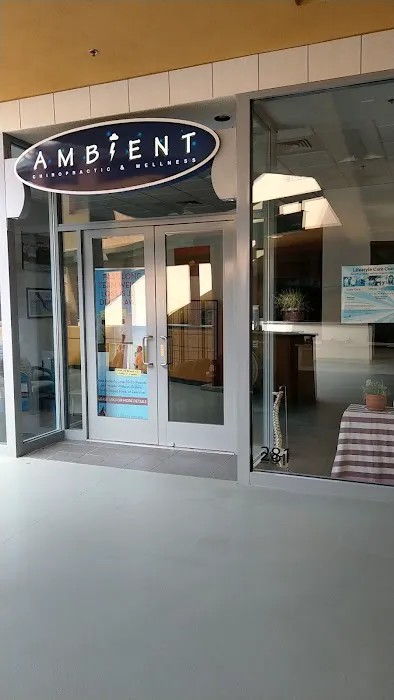 Ambient Chiropractic and Wellness Picture 4