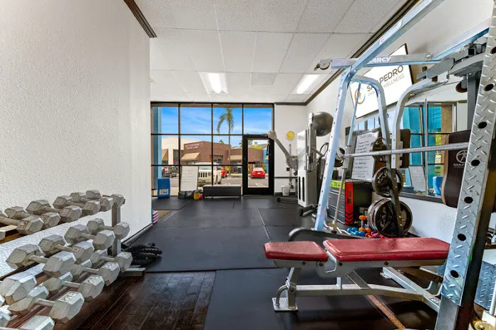 San Pedro Pain & Wellness Picture 2