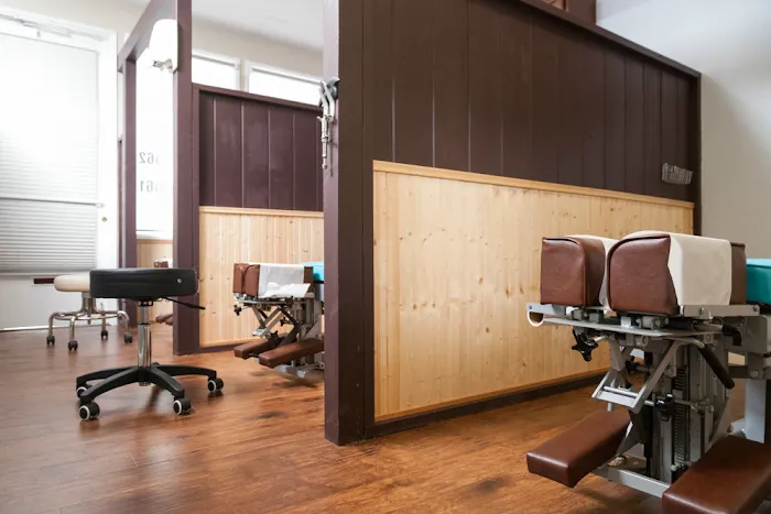 San Pedro Pain & Wellness Picture 4