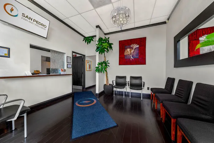 San Pedro Pain & Wellness Picture 5