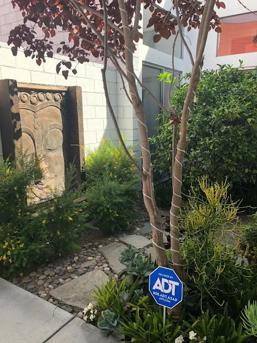 Los Angeles Chiropractic Clinic Picture 4