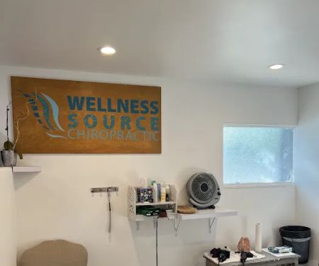 Wellness Source Chiropractic/ Dr Daniel M. Rudé D.C.