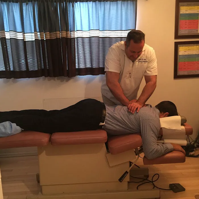 Wellness Source Chiropractic/ Dr Daniel M. Rudé D.C. Picture 4