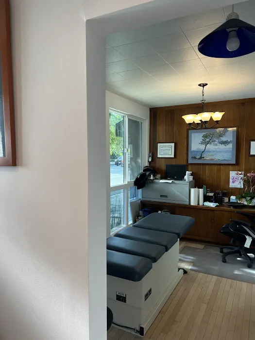 Wellness Source Chiropractic/ Dr Daniel M. Rudé D.C. Picture 7