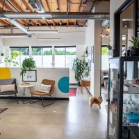 AWE Chiropractic ico