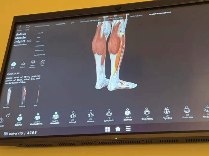 Active Body Chiro-Care - Culver City Picture 7
