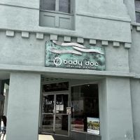 Bodydoc Chiropractic ico