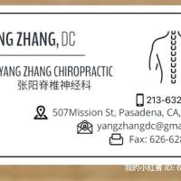 Yang Zhang Chiropractic ico