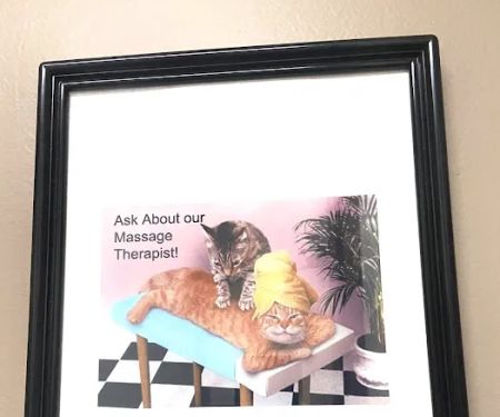 Mendoza Chiropractic