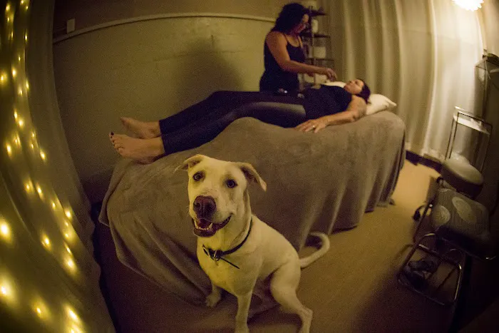 Back Benders Picture 4