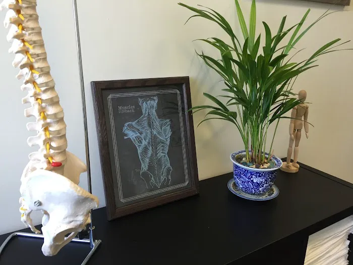 Conscious Chiropractic Care - Dr. Daniel Katrikh, DC Picture 2