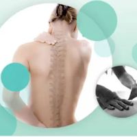 HOLLYWOOD CHIROPRACTOR ico