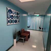 Dr. Kwang Lee Wellness Center ico