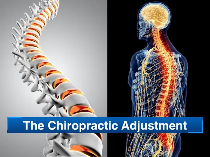 Fanai Chiropractic & Wellness Picture 4