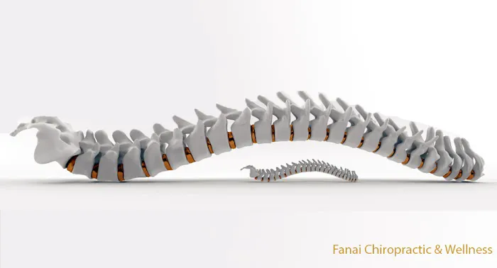 Fanai Chiropractic & Wellness Picture 3