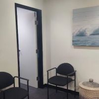 Greenberg Chiropractic ico