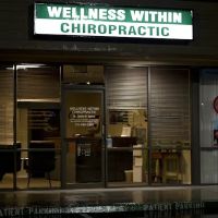 Wellness Within Chiropractic ico