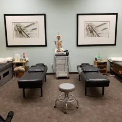 Hedgecock Chiropractic Clinic: Hedgecock James Jeffrey DC Picture 5
