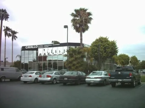 Bocchino Chiropractic Picture 4