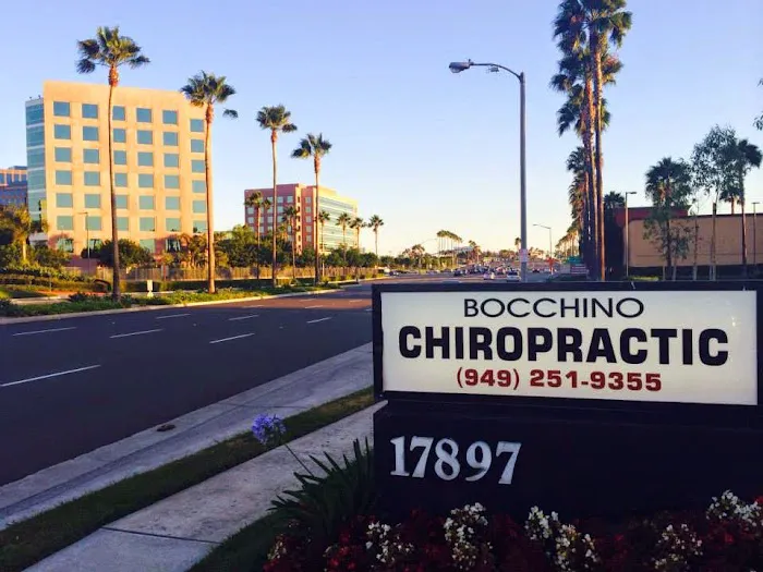 Bocchino Chiropractic Picture 2