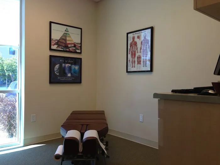 Back to Wellness Chiropractic Picture 6