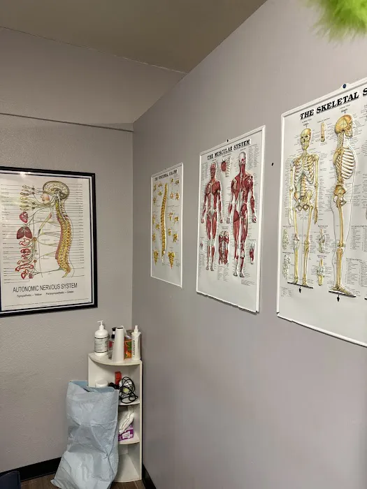 Shahin Chiropractic & Wellness Center Picture 5