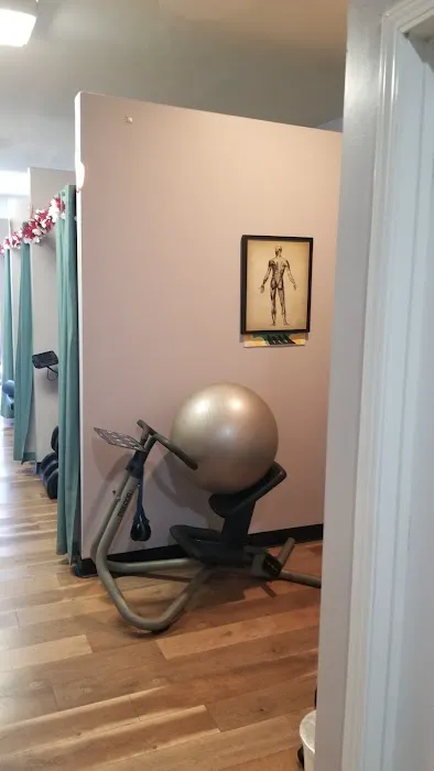 Shahin Chiropractic & Wellness Center Picture 4