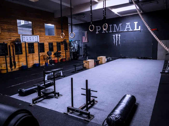 Mindful Movement Chiropractic Picture 5