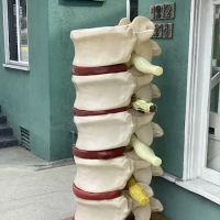 Bates Chiropractic ico