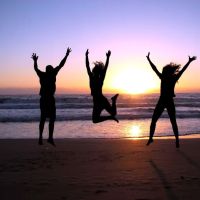 Zieve Physical Therapy and Chiropractic Center ico